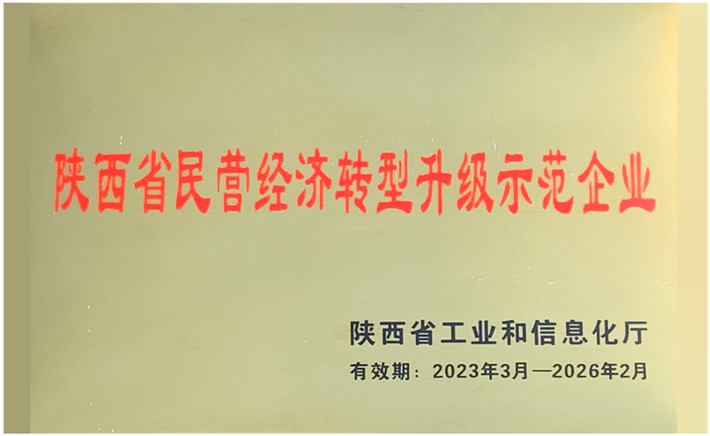 陜西省民營(yíng)經(jīng)濟(jì)轉(zhuǎn)型升級(jí)示范企業(yè).png